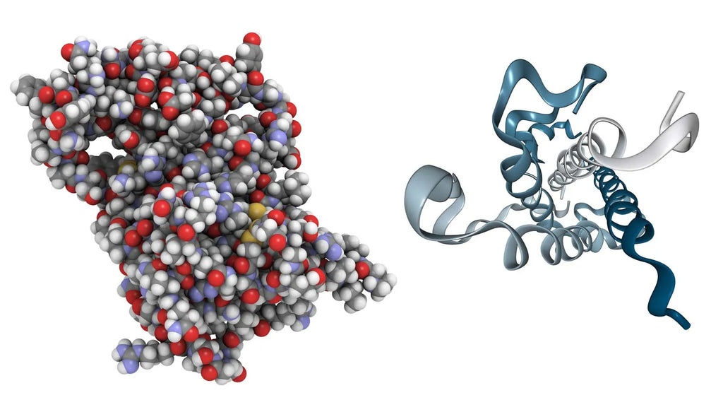 Role of Hormones & Rectal Exams in Hemorrhoids Development